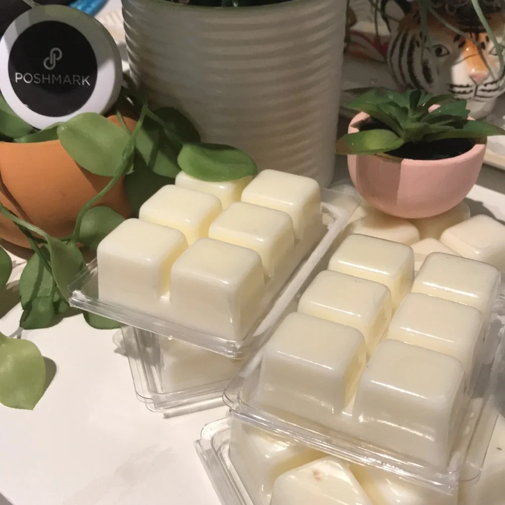 Scents Wax Melts Beach Sand Vibe Salted Seas Hand Crafted Final Sale